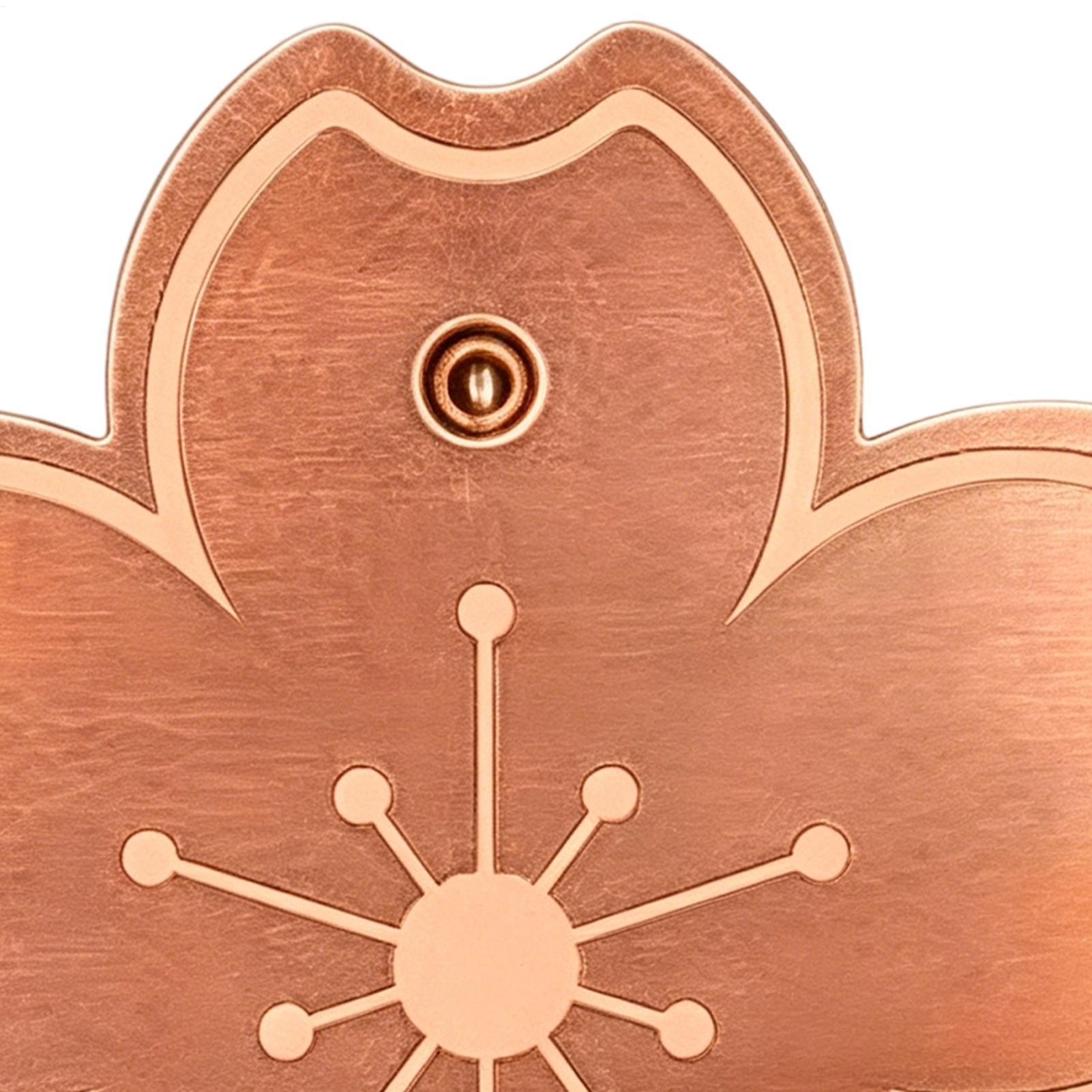 Plaque de purification en cuiv - Watch Es avis et prix