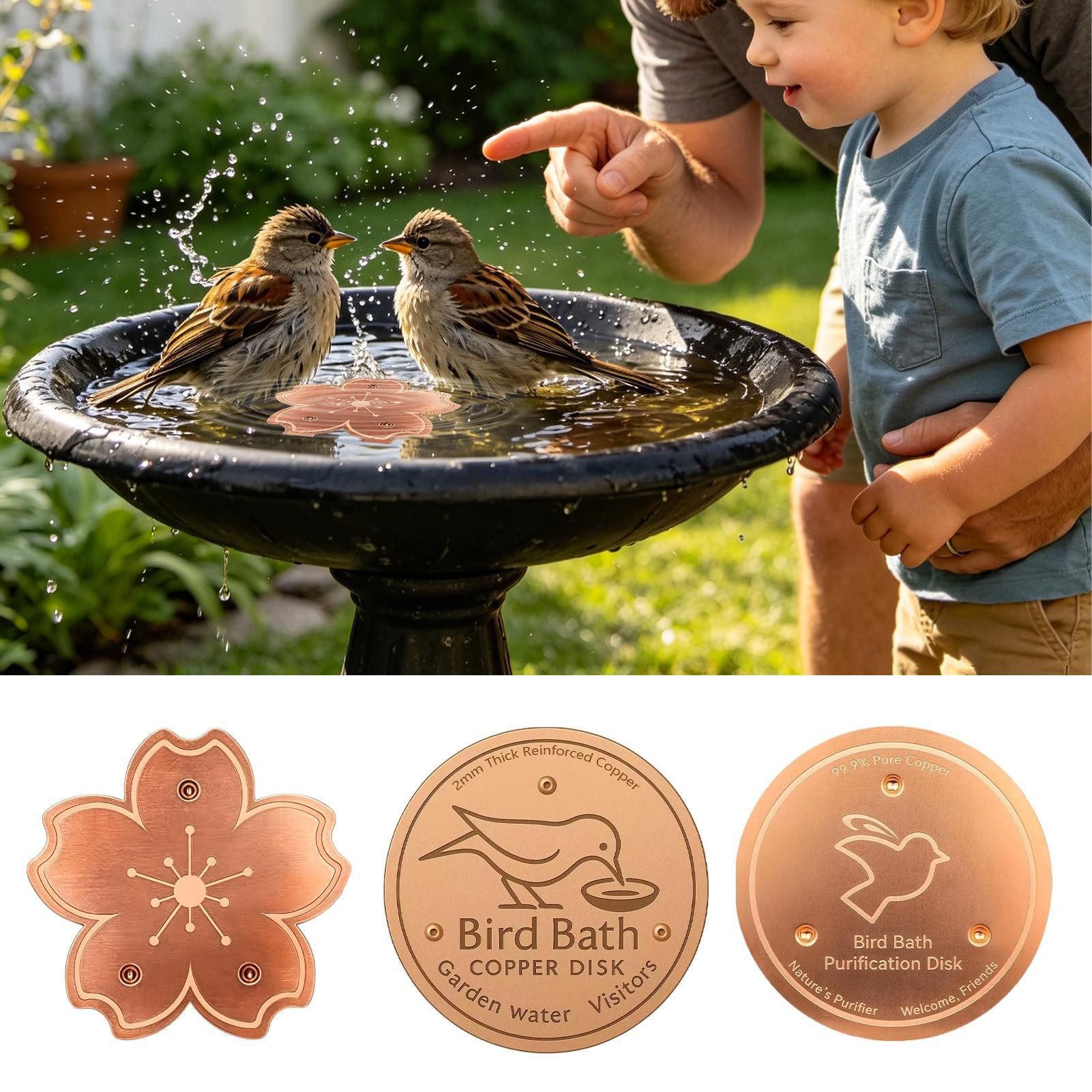 Plaque de purification en cuiv - Watch Es avis et prix